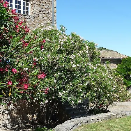 Hébergement de vacances Le Mas Des Couleurs